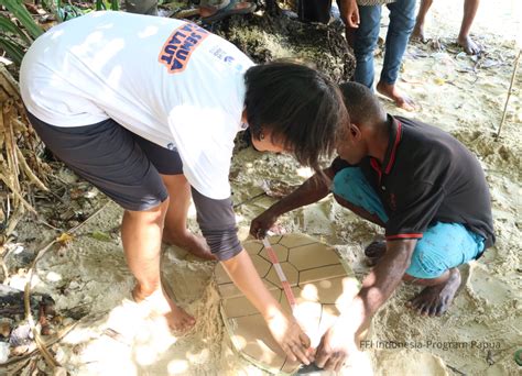 Berbagi Di Pelatihan Teknik Survei Dan Monitoring Penyu Di Sorong