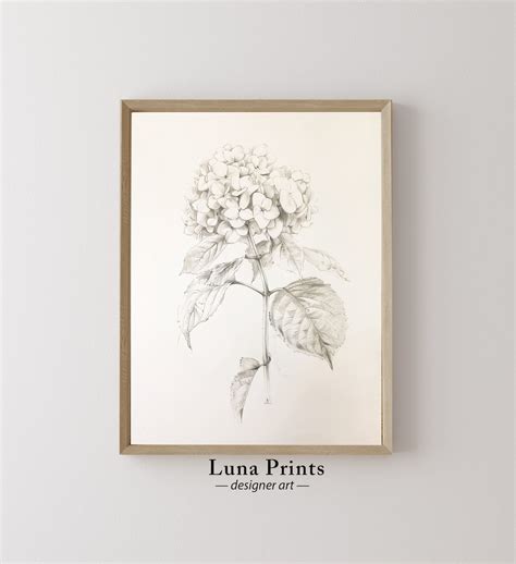 Hydrangea Botanical Print Printable Art Black And White Vintage