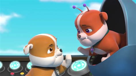 Watch Paw Patrol Season 8 Episode 4 Paw Patrol Pups Save A Rubble