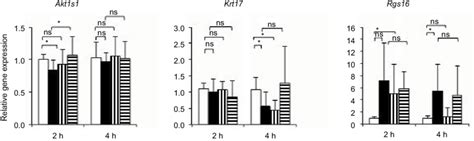 Interactive Effects Of Fgf And Erythropoietin On The Expression Of