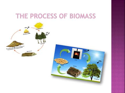 Ppt Biomass Powerpoint Presentation Free Download Id3039593