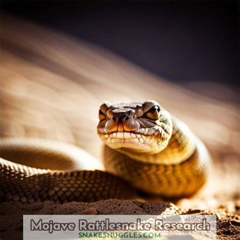 Mojave Rattlesnake Species Profile: Habits, Venom & Facts