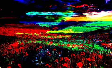 Digital Art Landscape | Fine Digital Art