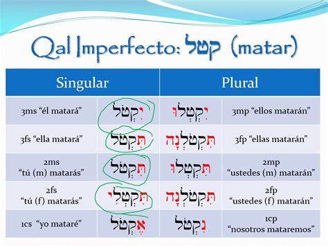 Lecci N Verbos Regulares Qal Imperfecto Hebreo On Vimeo