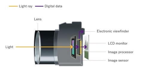 Mirrorless Cameras | Canon Global