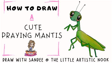 How To Draw A CUTE PRAYING MANTIS Step By Step INSECT Illustration