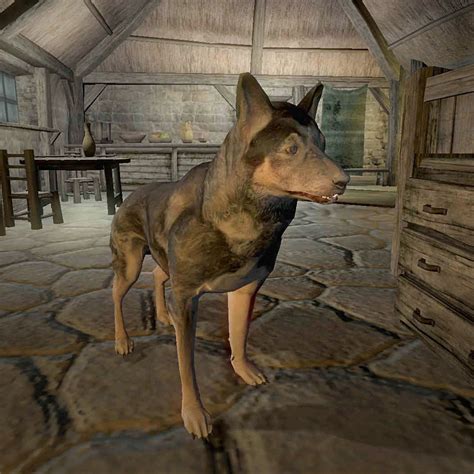 Oblivionjake The Unofficial Elder Scrolls Pages Uesp