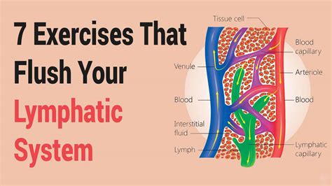 7 Exercises That Flush Your Lymphatic System