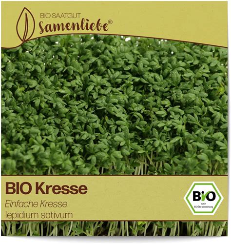 Samenliebe Bio Kresse Samen Einfache Kresse Leicht Scharfe Gartenkresse