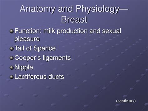 Ppt Anatomy And Physiology— Breast Powerpoint Presentation Free