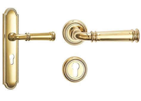 Gold Door Handles With Backplate - RocheHandle - Order Now!