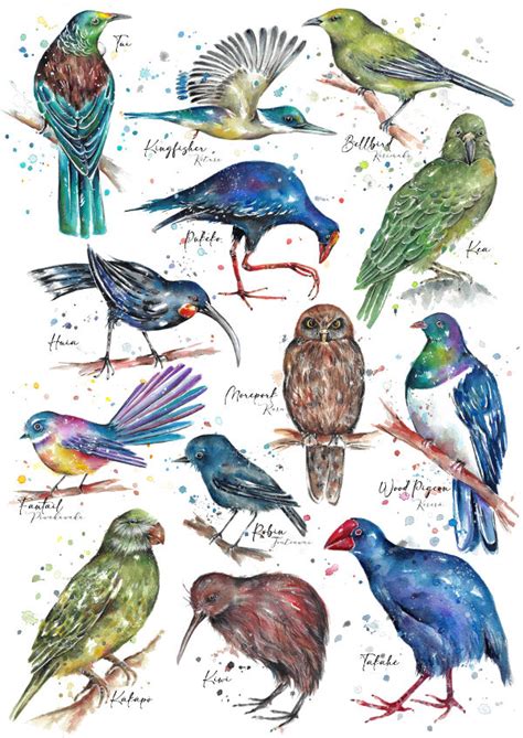 The Natives - birds - FionaClarkeART.co.nz