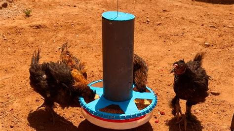 Como Hacer Comedero Para Pollos Gallinas Y Gallos Con Tubos Pcv Y Balde