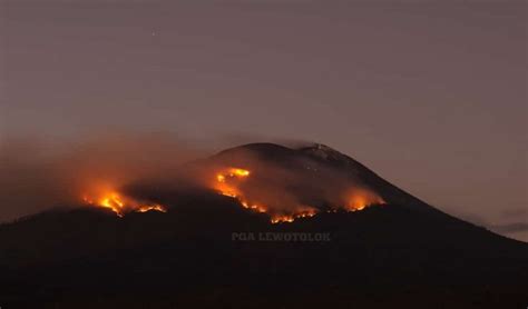 Lava Pijar Erupsi Gunung Ile Lewotolok Akibatkan Kebakaran Hutan