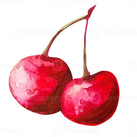 Cherry Watercolor Illustration 16327591 PNG