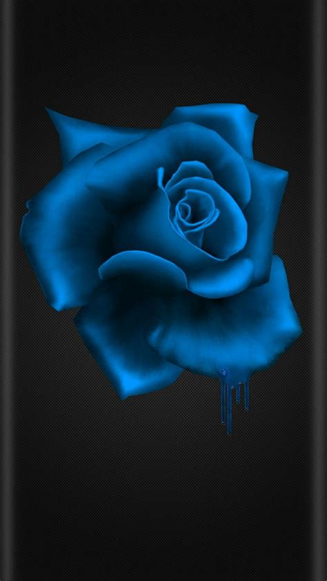 Black And Blue Flower Beautiful Flowers Wallpapers Beautiful Rose