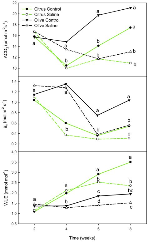 Effect Of Salinity S Mm Nacl In Citrus Or Mm In Olive On Co