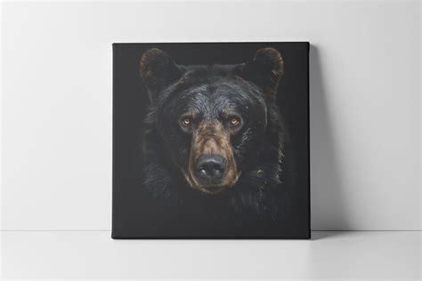 Black Bear Portrait, Award-winning Photograph, Art Poster Print, Home ...