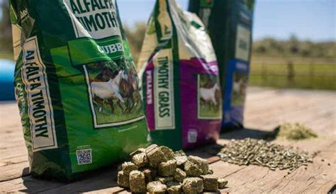 Should you soak your horse’s pellets and cubes before feeding?