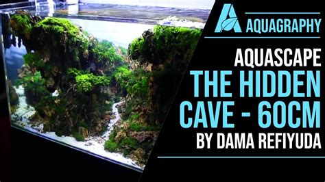 Aquascape 60cm The Hidden Cave Aquagraphy Youtube