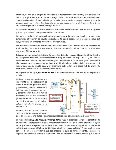 SOLUTION Tema 6 Regulaci N De La Excreci N De Agua Y Sodio Studypool