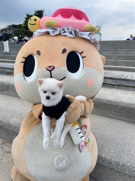 O On Twitter Rt Chiitan Osaka