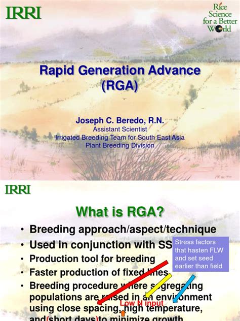 Rapid Generation Advance Rga Pdf Plant Breeding Seed