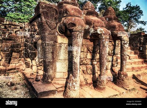 Terrace Of Elephants