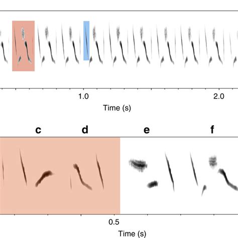 Swamp sparrow song structure. a Spectrogram of a swamp sparrow song... | Download Scientific Diagram