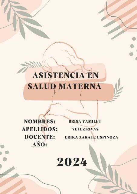 Documento A Portada De Proyecto Minimalista Org N Brisa Velez Udocz