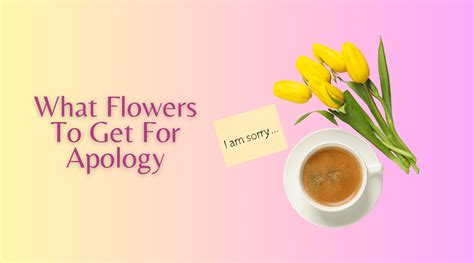 What Flowers To Get For Apology