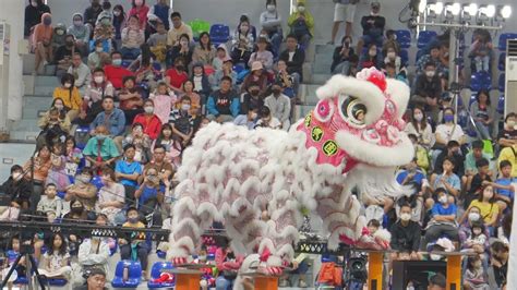 獅王爭霸賽【中臺灣振興龍獅團】2023年新北市泰山獅王文化節 Lion King Competition Revitalizing