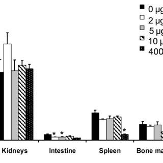 Representative Coronal PET Images Of An Athymic Nude Mouse Bearing