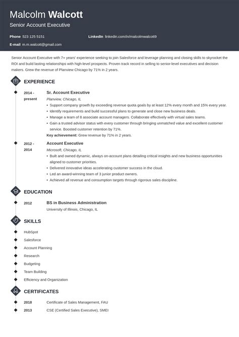 Account Executive Resume Examples And Guide For 2025