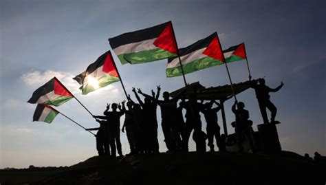 Envisioning Palestine Strategies For Palestinian Self Determination