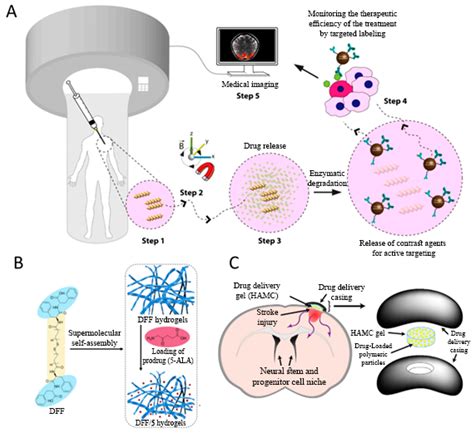 Gels Free Full Text Stimuli Responsive Hydrogels For Local Post