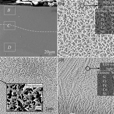 A SEM Image Showing The Cross Sectional Morphology Of The Coating