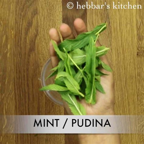 Pudina Raita Recipe Mint Raita Recipe Mint Raita Sauce Recipe