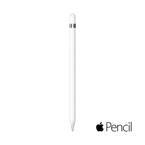 Ipad 9th Generation 64gb With Apple Pencil Ibay