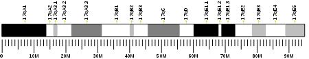 Plasmin - Wikipedia