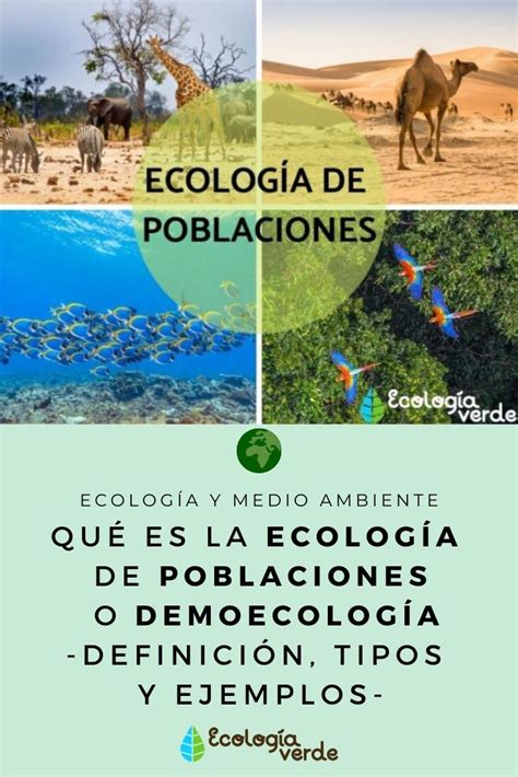 Qu Es La Ecolog A De Poblaciones O Demoecolog A