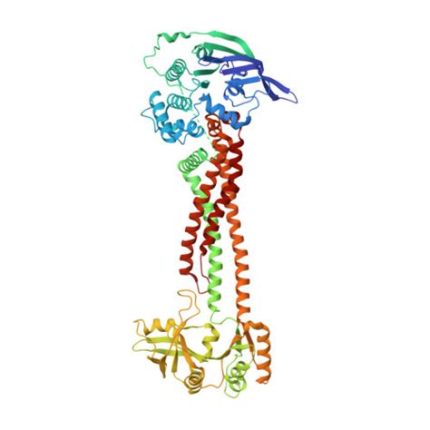 Rcsb Pdb Ws Crystal Structure Of Tripartite Type Abc Transporter