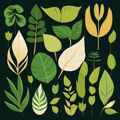 Premium Vector Isolated Rainforest Leaf Icon Set