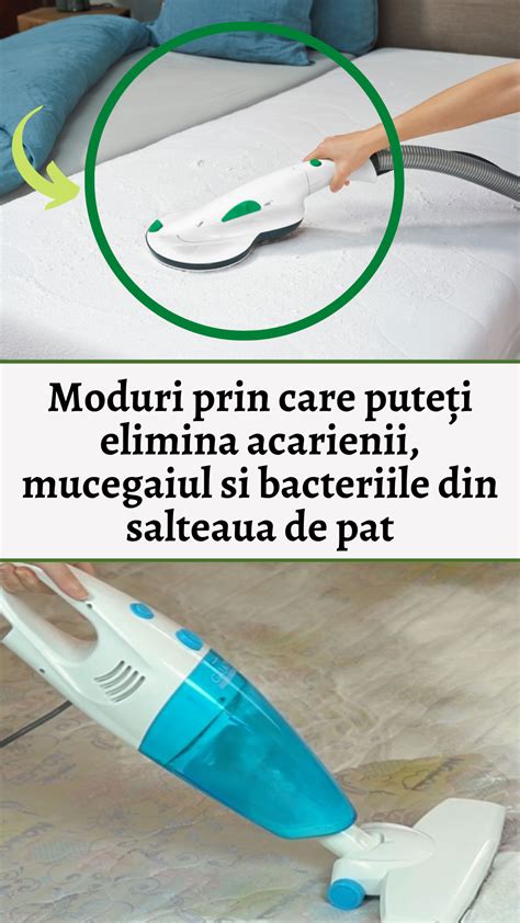 Moduri prin care puteți elimina acarienii mucegaiul si bacteriile din