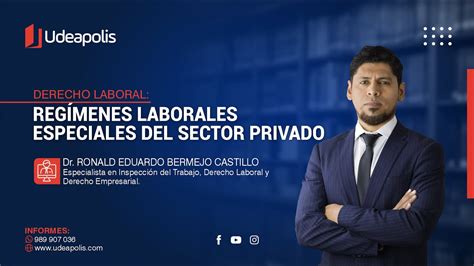 Regímenes Laborales Especiales del Sector Privado Ronald Eduardo