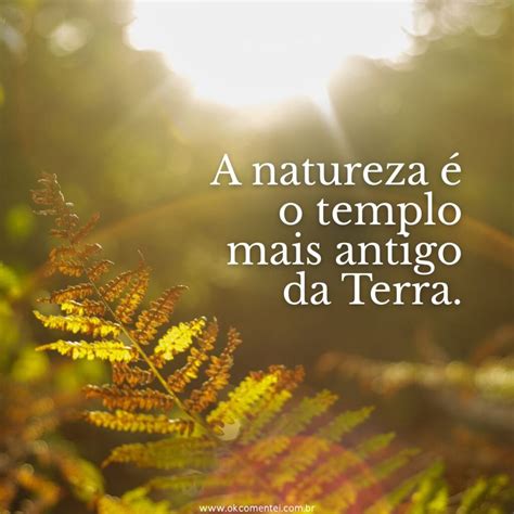 Natureza Frases Curtas
