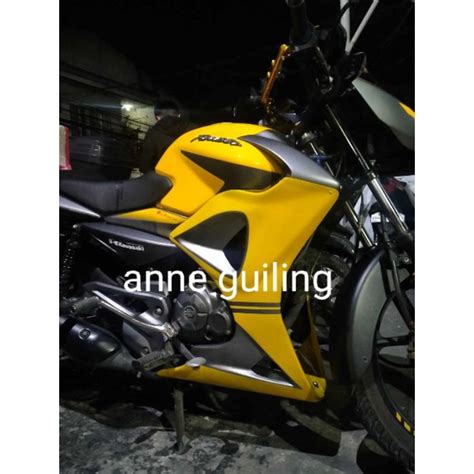 Kawasaki Rouser Ls Ns Full Engine Cover Shopee Philippines