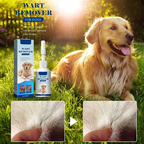 WNG Natural Dog Wart Remover Natural Dog Warts Removal Skin & Wart ...