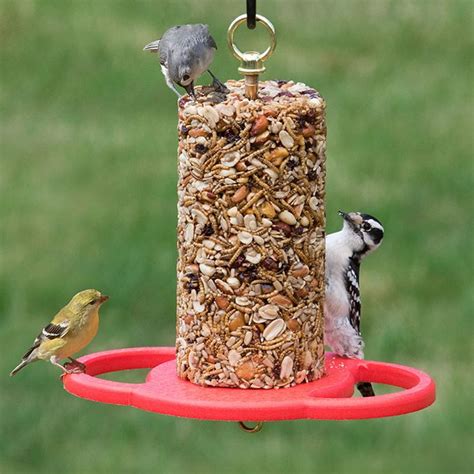 Attract More Birds With Fewer Refills Our Seed Log Feeder Offers 360