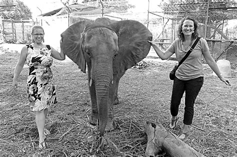 When He calls me, I will answer...: Behind the Scenes at the Entebbe Zoo